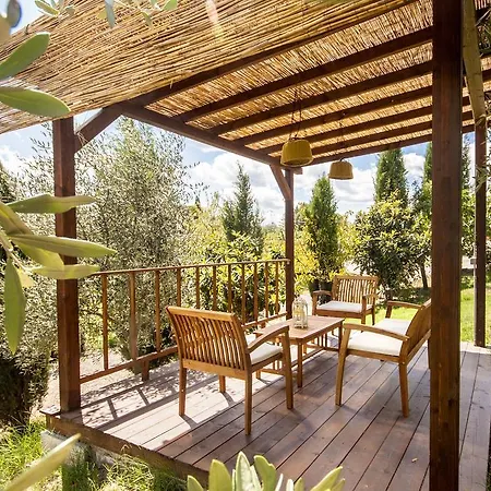 Agriturismo Podere Camollia Costalpino Exterior photo